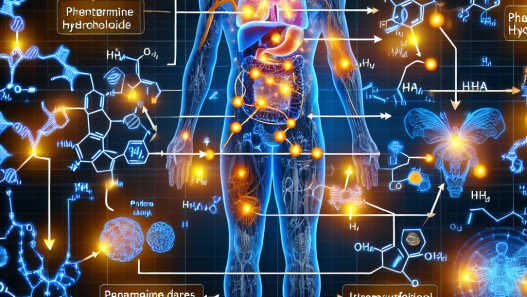 Phentermine hydrochloride's influence on metabolism during physical activity