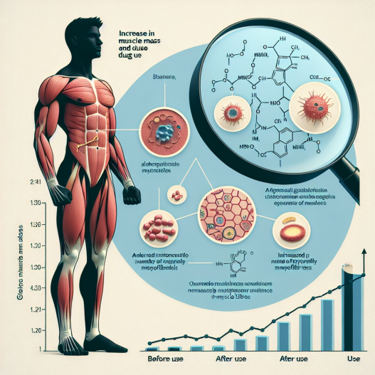 Tirzepatide effects on muscle mass increase