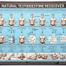 Natural testosterone recovery timeline post-trenbolone compresse