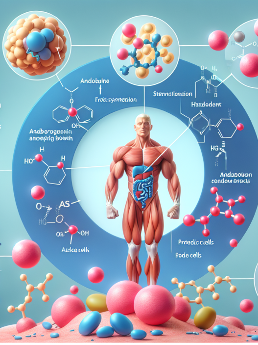 Stenbolone: mechanism of action explained